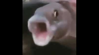 my mental state
