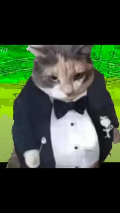 Saas