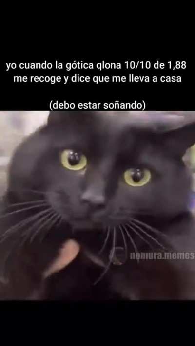 Jeje