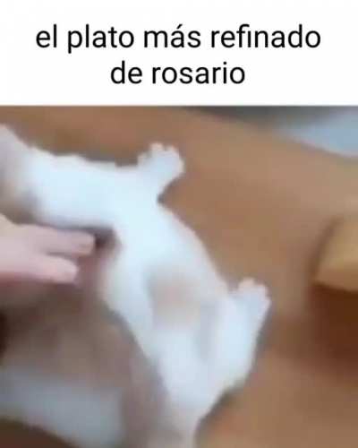 😋🐈