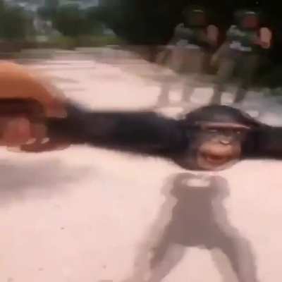 HD