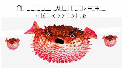 Pufferfish pufferfidh