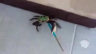 Neo Brasil 2077