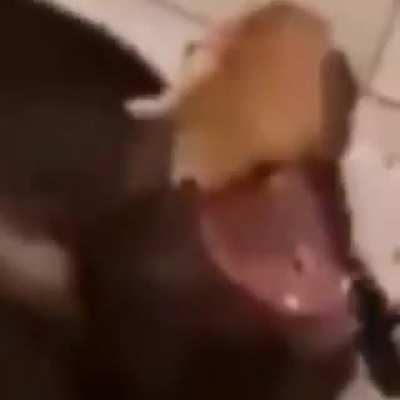 Waaa