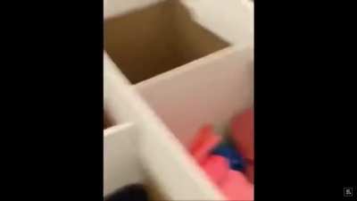 Woman tries to bite cop, regrets it.