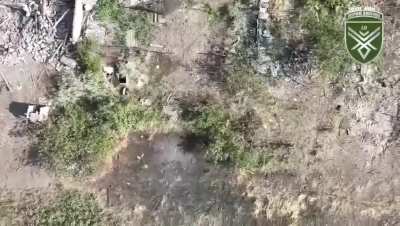 Ukrainian 68th Jaeger Brigade's Dovbush's Hornets drone team dropped ammunition on Russian infantry. Pokrovsk area, September 2024.