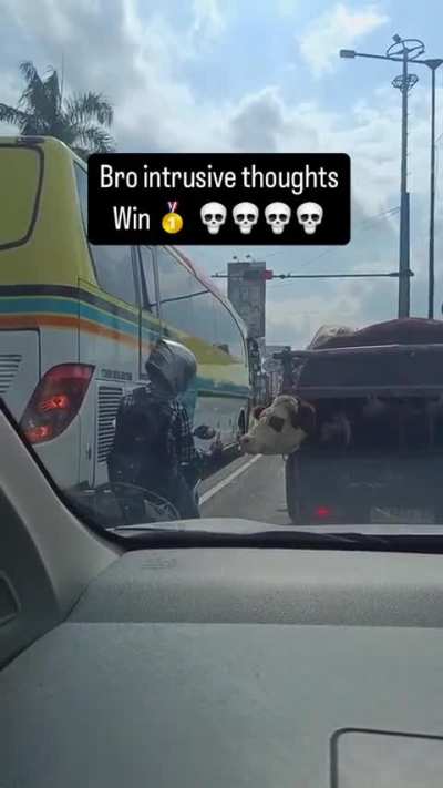 chill cow