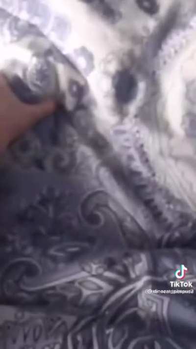 OwO