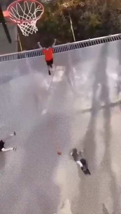 That looks like fun
