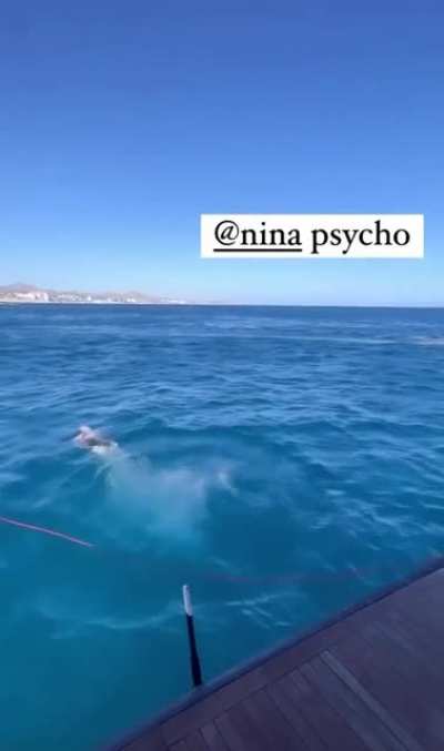 Nina on Keleigh ig diving into the water