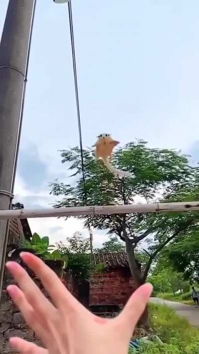 I can’t stop watching this