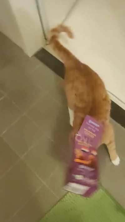 Heard lots of noise downstairs and found my little Walt doing this