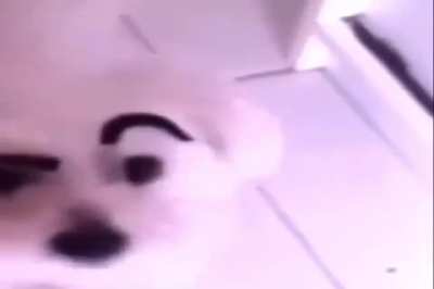 ¿🤔?