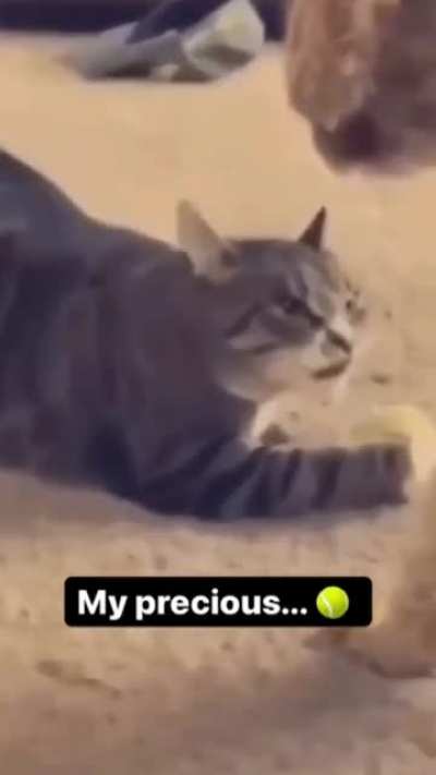 My precious.......