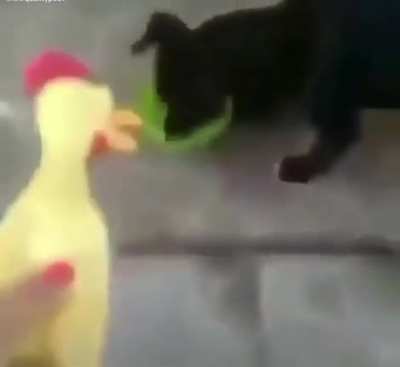 Awoof