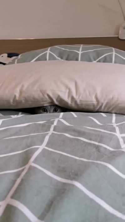You have to act surprise!