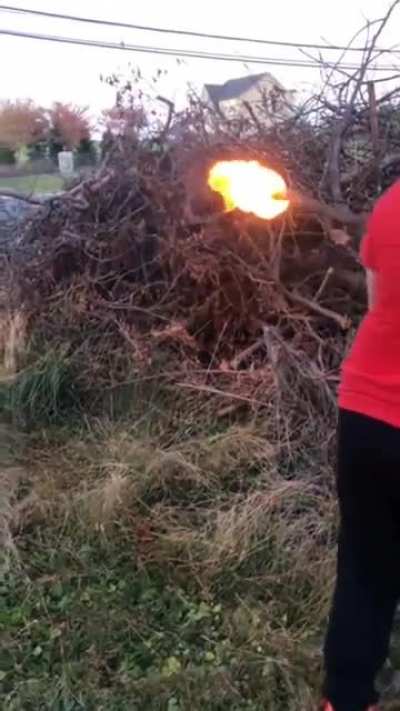 Burning woodsticks