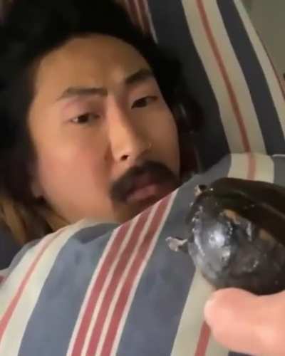 A Turtle.