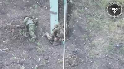 Attempted take down of an attacking drone