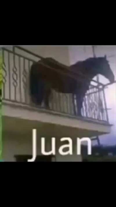 LLuan?!?!?😭😭😭