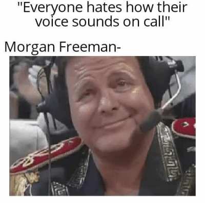 An interesting tit