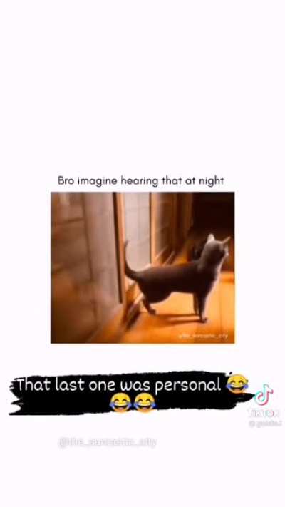 Cats catting