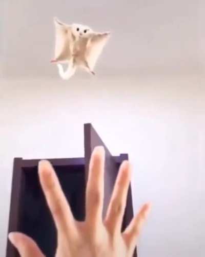 I believe I can fly…