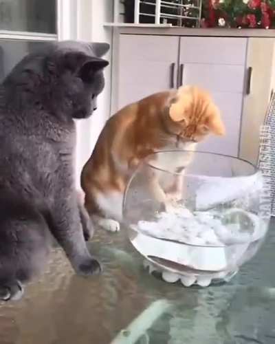 Э, отстань от моего кореша, чё прико<wbr>пался<wbr>-то?