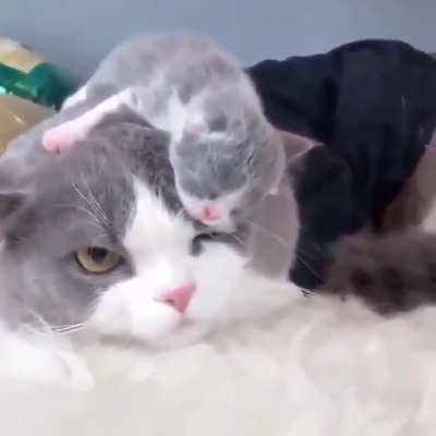 Parenthood is not what I expected