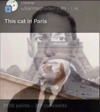 Rule