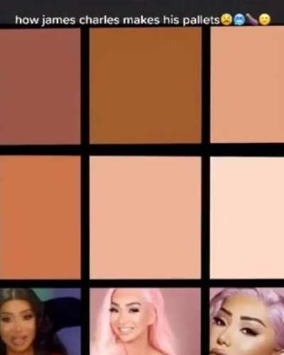 Nidalee's and R/Karmamains summer palette 😍