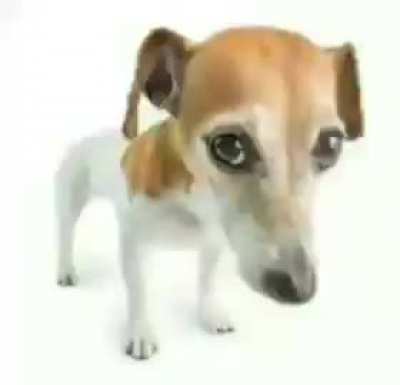 ︎ ︎︎︎ ︎︎︎ ︎︎︎ ︎︎︎ ︎︎