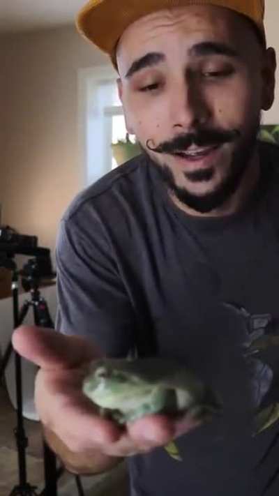 Nice mustache man proves frog is real
