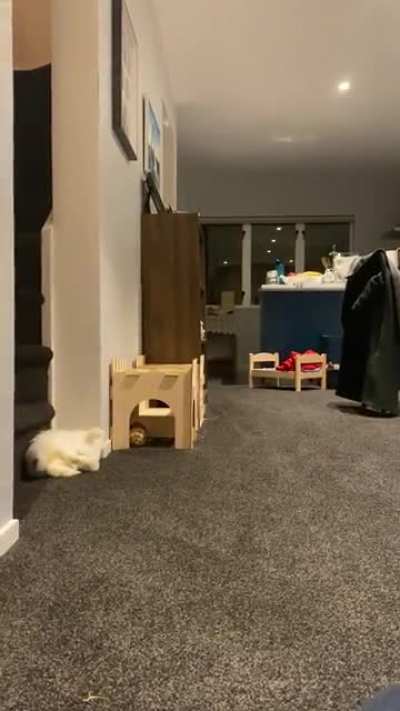 Happy hoppy mochi