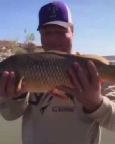 Le' Fishe de Carp