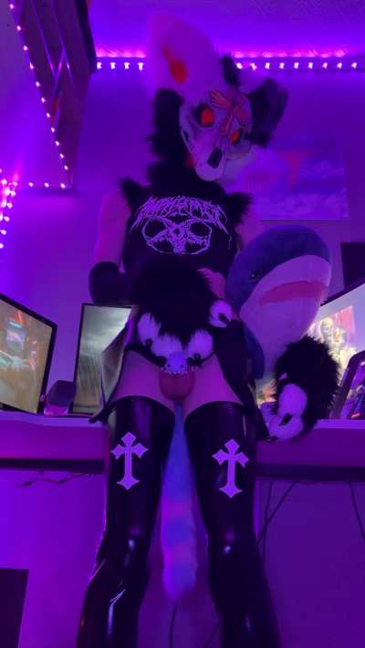 I have a new cage - sharky :3 how it looks?