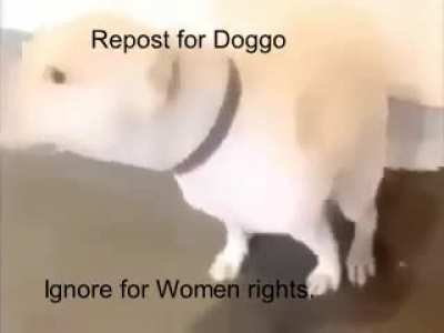 I had to