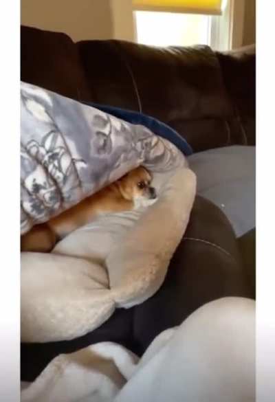 what a cutie!