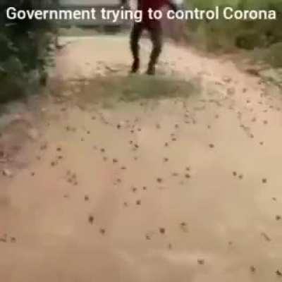 USA , India , it's all same everywhere