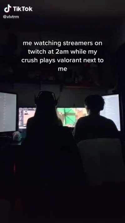 rare video of a girl watching sykkuno stream (this made me lonely fr)