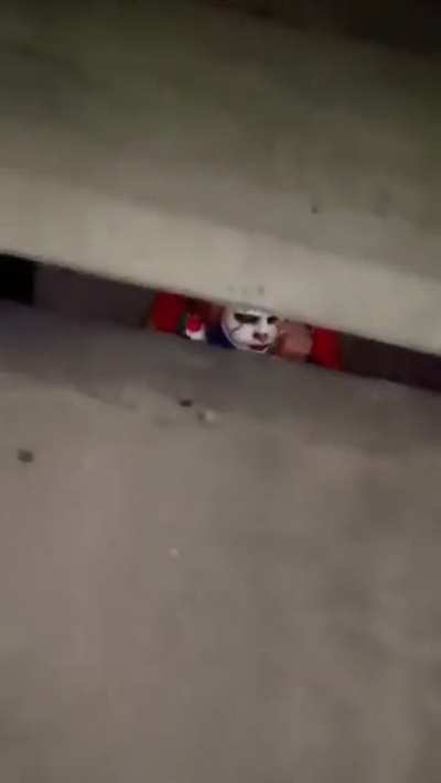 i think i downloaded the wrong IT movie..