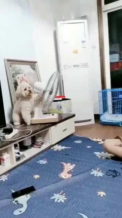Intelligent
