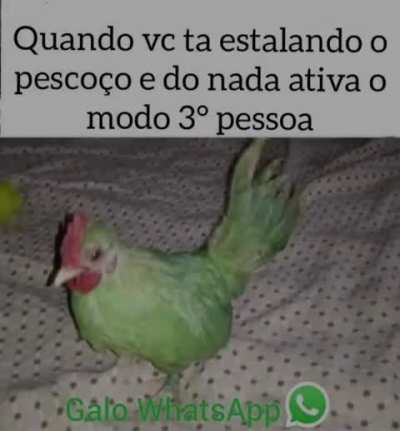 Sim