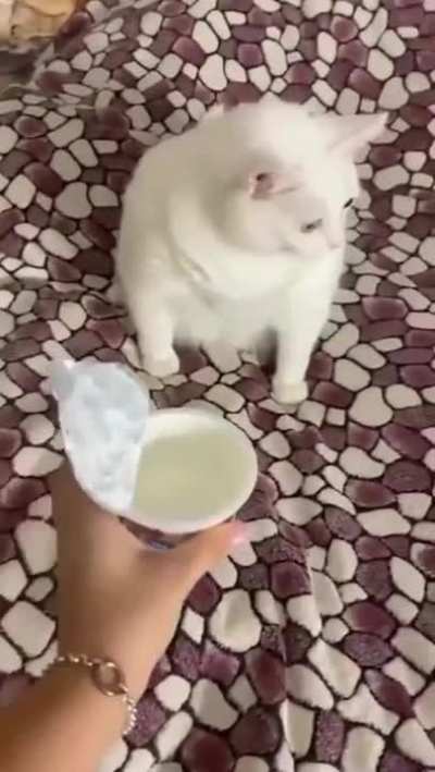 Not a fan