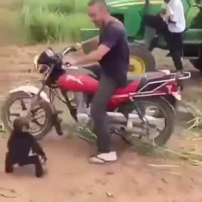 I want a ride