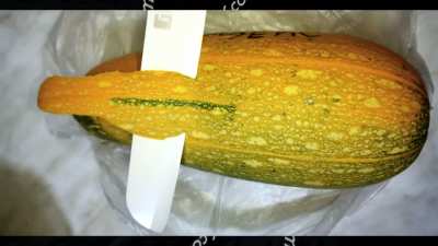 Кому отдать кобач<wbr>ки? Изяце<wbr>пт! Видео от Изи
