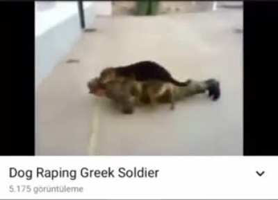 Us military has taser pain test Gayreece have...