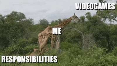 Nothing can hold you back