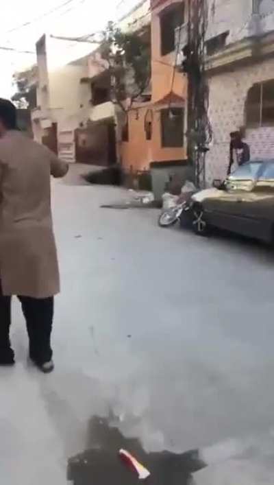 good doggo!