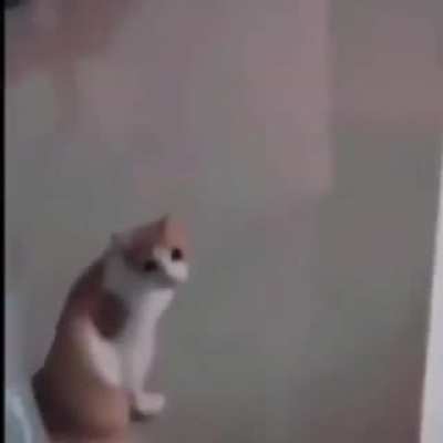 HIM